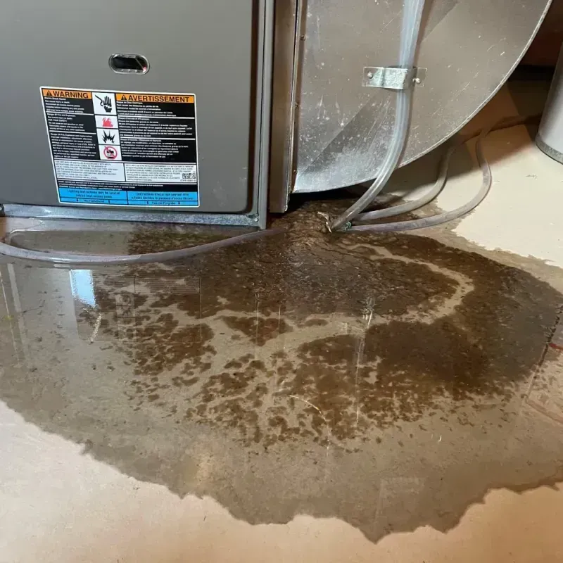 Appliance Leak Cleanup in Forrest City, AR